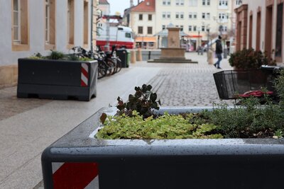 Bild vergr&ouml;&szlig;ern: Feste Zufahrtssperren sorgen rund um den Landauer Rathausplatz seit diesem Jahr f&uuml;r Sicherheit.