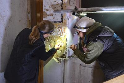 Bild vergr&ouml;&szlig;ern: Das Haus zum Maulbeerbaum in der oberen Marktstra&szlig;e gilt als Landaus &auml;ltester Profanbau. Das Bild zeigt die Freilegung historischer Wandmalereien, die im ersten Obergeschoss gefunden wurden.